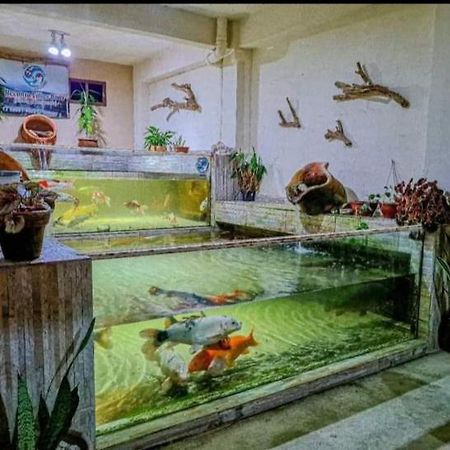 Recanto Villas Boas Ubatuba Esterno foto